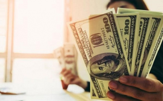 Impacts of intrinsic motivation and job satisfaction: The moderating role of income