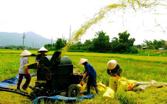 Nguyên tắc phân bổ nguồn vốn NSNN thực hiện Chương trình mục tiêu quốc gia