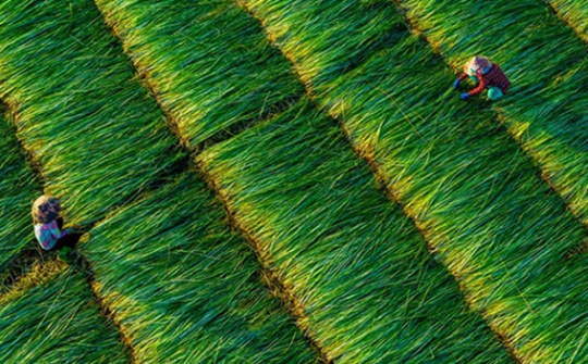 Những mô hình sản xuất hiệu quả cao ở huyện có 34 giáo xứ