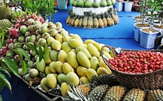 Cơ hội xúc tiến xuất khẩu nông, thủy sản khu vực Nam Bộ và Tây Nguyên