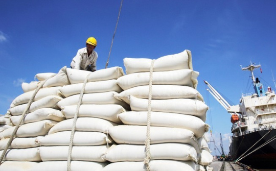 Hàn Quốc mở thầu mua gạo theo cơ chế hạn ngạch thuế quan lần thứ 6 trong năm 2021