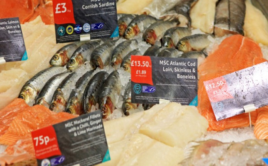 Xu hướng tiêu dùng sản phẩm thủy sản của EU thay đổi vì Covid-19