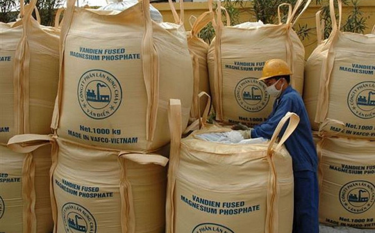 Phân bón Văn Điển: Nâng giá trị thương hiệu cây có múi vùng Thanh Nghệ Tĩnh