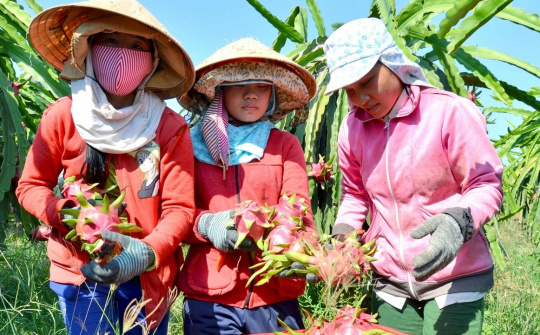 Xây dựng thương hiệu, nâng sức cạnh tranh cho hàng Việt tại thị trường Trung Quốc