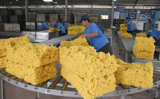 Việt Nam - Thị trường cung cấp cao su tự nhiên lớn thứ 4 cho Hoa Kỳ