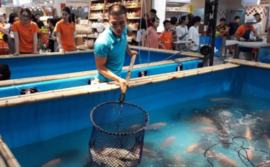 Kịp thời chuyển hướng gỡ khó cho tiêu thụ nông sản vùng cao