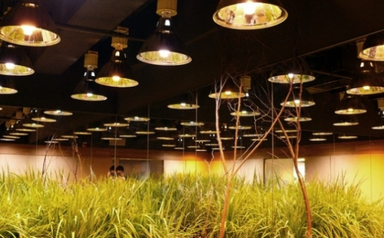 EU áp dụng nhãn năng lượng mới đối với bóng đèn và các thiết bị chiếu sáng