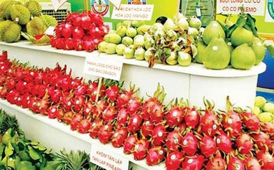 Xuất khẩu nông sản sang Anh: Tăng cường tiếp cận các đối tác tiềm năng