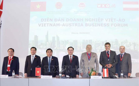 Diễn đàn doanh nghiệp Việt Nam - Áo: Mở ra nhiều cơ hội hợp tác trong lĩnh vực năng lượng