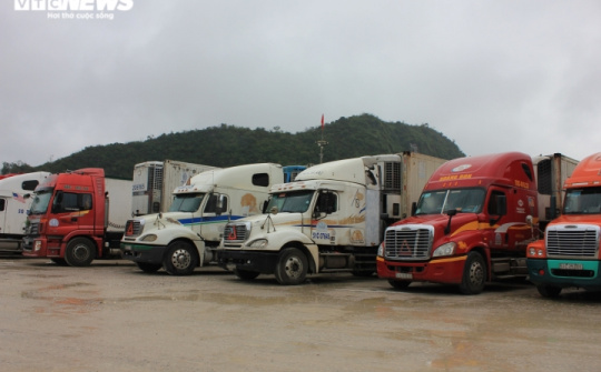 Lạng Sơn tạm dừng tiếp nhận xe chở hoa quả tươi đến cửa khẩu từ 17/1