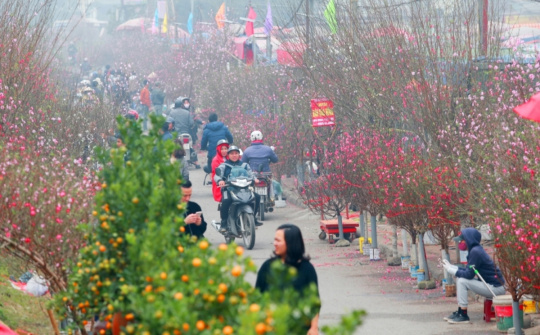 Chính thức chốt lịch nghỉ Tết Nguyên đán Nhâm Dần kéo dài ngày 9