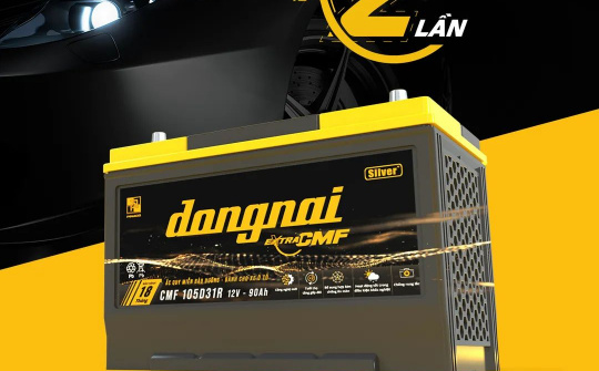 Pinaco: Khẳng định vị thế và thương hiệu Việt