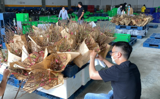 Hàng Việt ngập tràn sàn thương mại điện tử mùa Tết