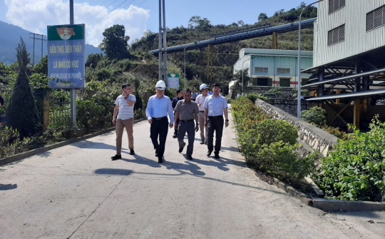 Bước chuyển mình của Đồng Tả Phời