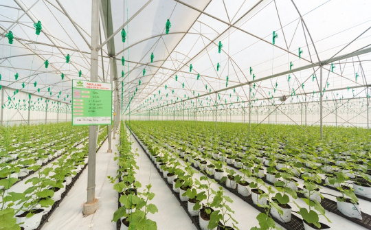 Thành lập Khu nông nghiệp ứng dụng công nghệ cao Quảng Ninh