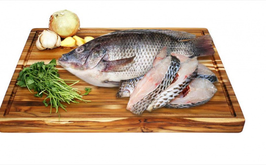 Ảnh hưởng của điều kiện thủy phân protein từ phụ phẩm cá rô phi làm phân bón cho chè