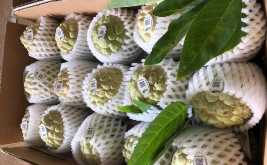 Tiêu thụ nông sản thời 4.0 và những “trái ngọt” từ chuyển đổi số