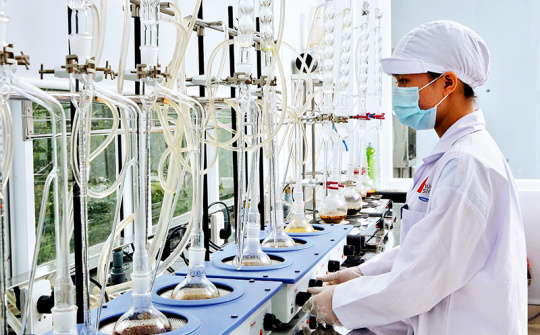 Những đơn hàng đầu năm mới đầy triển vọng