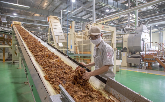 Công ty Thuốc lá Thăng Long - Khát vọng và niềm tin chiến lược