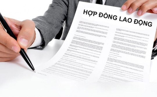 Bình đẳng trong quyền đơn phương chấm dứt hợp đồng lao động theo pháp luật lao động Việt Nam hiện hành
