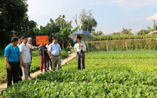 Huyện Điện Biên: Phát triển các sản phẩm OCOP và xây dựng nông thôn mới