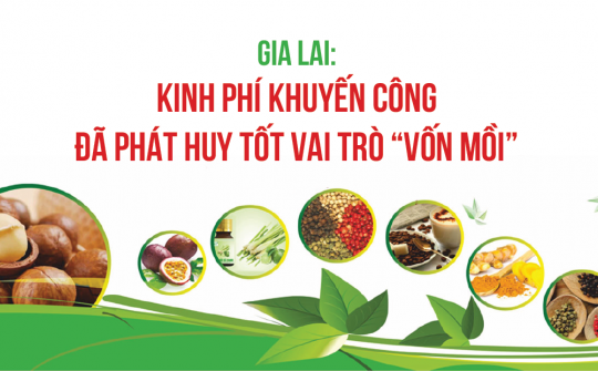 Gia Lai: Kinh phí khuyến công đã phát huy tốt vai trò “vốn mồi”