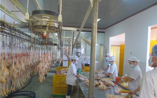 Điều khác biệt an toàn thực phẩm nhìn từ chuỗi sản xuất liên kết