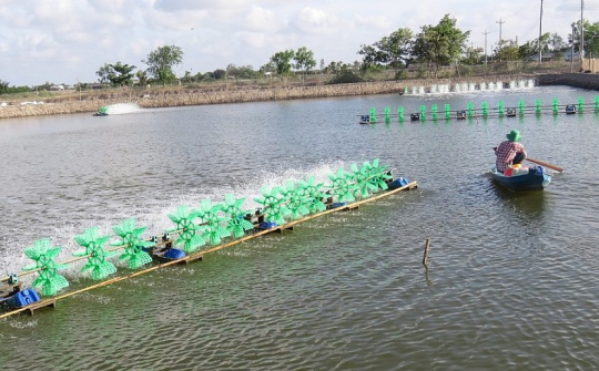 Trên 98% hộ đồng bào Khmer ở Trà Vinh được sử dụng điện lưới quốc gia