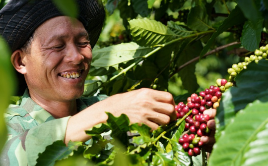 Câu chuyện từ mô hình NESCAFÉ Plan