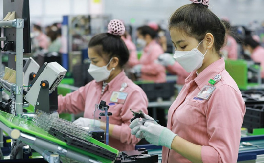 9 tháng, Việt Nam xuất siêu sang Ấn Độ đạt 830 triệu USD