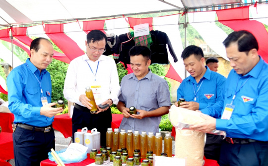 Hà Giang: 8 giải pháp nâng cao chất lượng hoạt động khuyến công