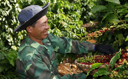 Nestlé công bố kế hoạch NESCAFÉ Plan 2030