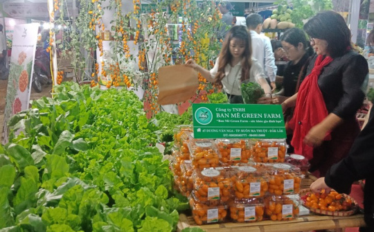 Kết nối các doanh nghiệp khu vực Tây Nguyên vào hệ thống phân phối nước ngoài