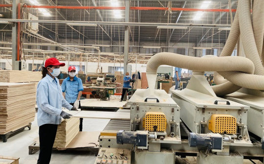 Các nước CPTPP cam kết thuế nhập khẩu với Việt Nam thế nào?