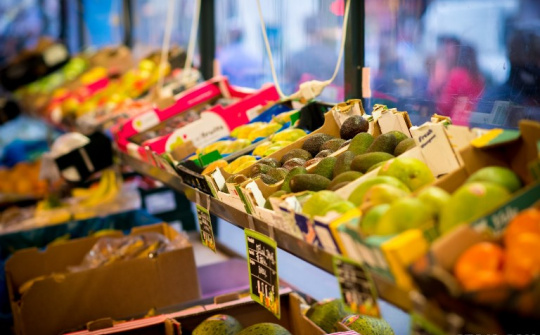 Đào tạo chuyên sâu về quy tắc xuất xứ trong CPTPP