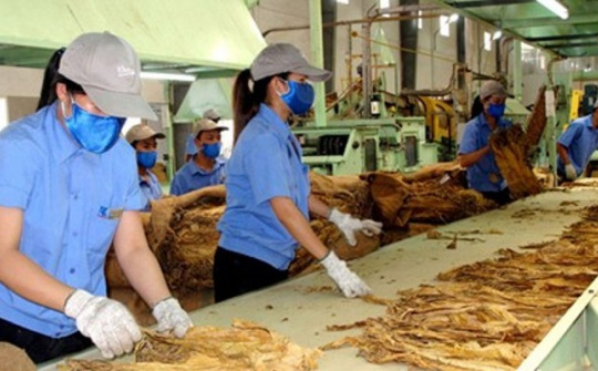 Bộ Công Thương quy định chi tiết một số điều của các Nghị định liên quan đến kinh doanh thuốc lá