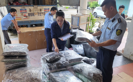 Quảng Bình: Thu giữ số lượng lớn áo quần trẻ em giả mạo nhãn hiệu và không rõ nguồn gốc, xuất xứ