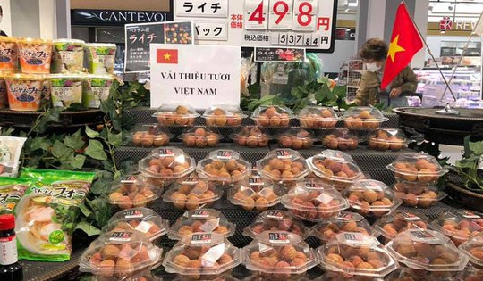 Thúc đẩy doanh nghiệp tham gia trực tiếp các mạng phân phối nước ngoài