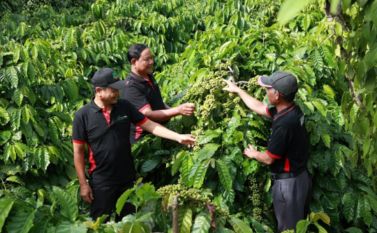 Nestlé chia sẻ giải pháp xuất khẩu sản phẩm Việt ra thế giới