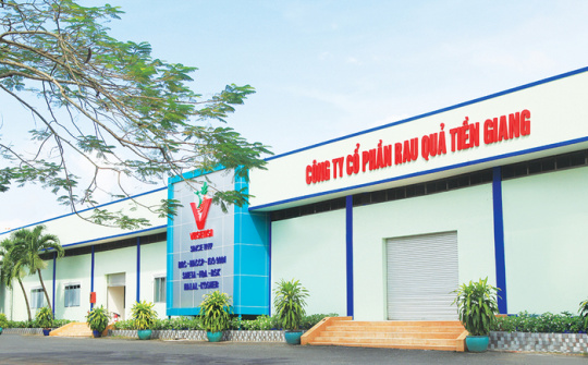 Công ty Cổ phần Rau quả Tiền Giang: Đổi mới để không ngừng lớn mạnh