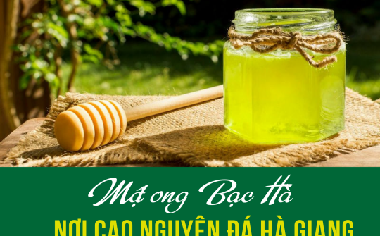 Mật ong Bạc Hà nơi cao nguyên đá Hà Giang