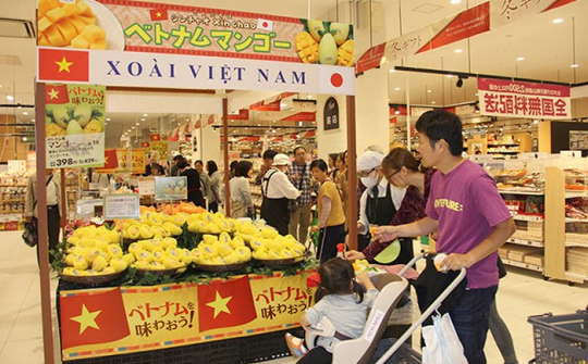 Thúc đẩy doanh nghiệp tham gia trực tiếp các mạng phân phối nước ngoài