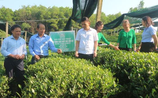 Sở Nông nghiệp và PTNT tỉnh Thái Nguyên: Duy trì và phục hồi chuỗi sản xuất cung ứng nông sản