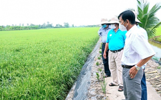 Huyện Lấp Vò: Các hoạt động kinh tế - xã hội phục hồi mạnh mẽ