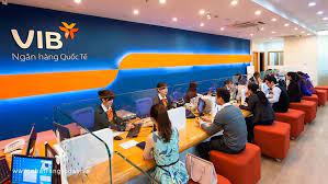 Phát triển dịch vụ ngân hàng bán lẻ tại Ngân hàng Thương mại Cổ phần Quốc tế Việt Nam, Chi nhánh Biên Hòa trong giai đoạn 2022 – 2030