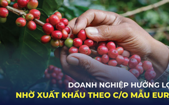Doanh nghiệp hưởng lợi nhờ xuất khẩu theo C/O mẫu EUR.1
