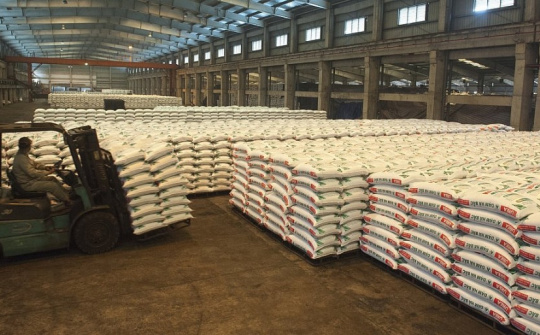 Hồi sinh thương hiệu Đạm Hà Bắc