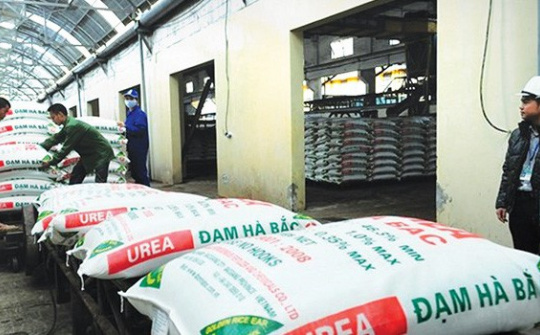 Đạm Hà Bắc (DHB): Sản xuất kinh doanh có nhiều khởi sắc