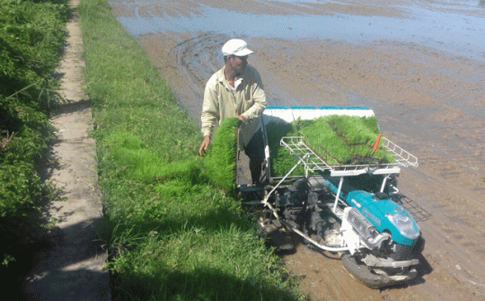 Trung tâm Khuyến nông và Dịch vụ nông nghiệp Tiền Giang: Phát huy vai trò tiên phong trong thực hiện tái cơ cấu ngành Nông nghiệp Tiền Giang