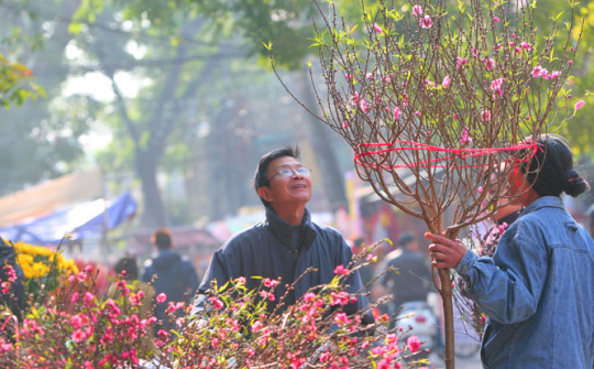 Hà Nội sẽ tổ chức 91 điểm chợ hoa phục vụ Tết Nguyên đán Quý Mão 2023